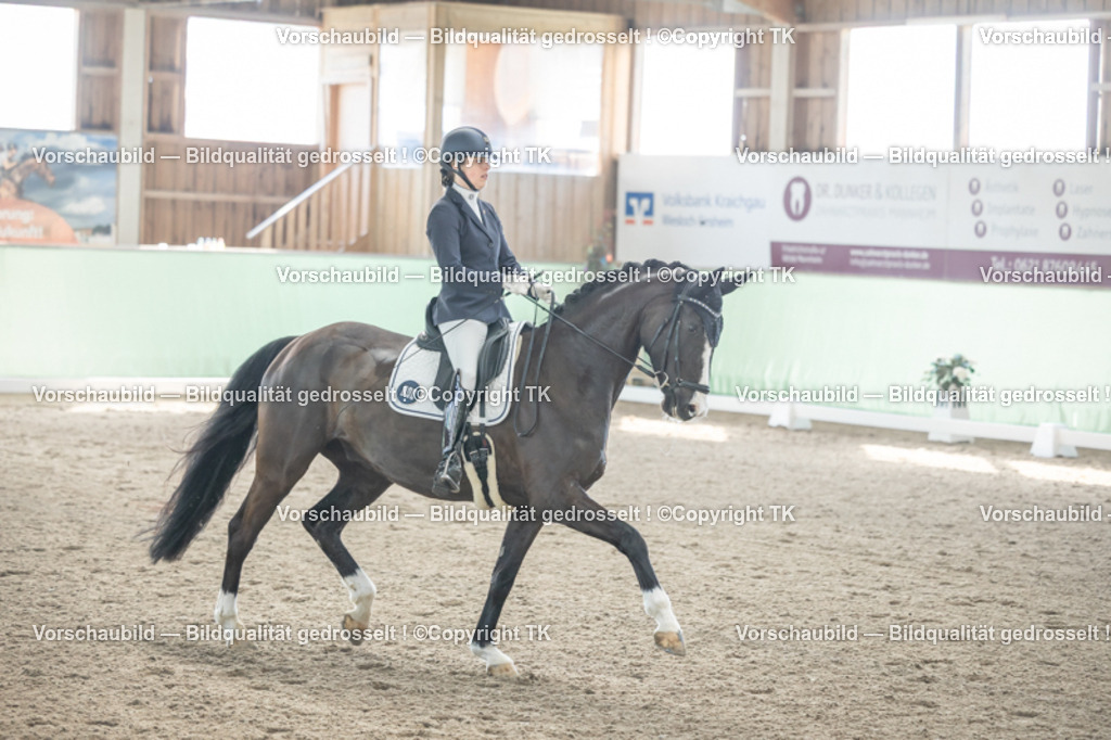 _D5A0668 | Emotionale Pferde- & People-Fotografie rund um Heidelberg, Leimen & Umgebung. Natürliche Fotos von Pferd, Mensch & Familie. Jetzt Termin sichern!