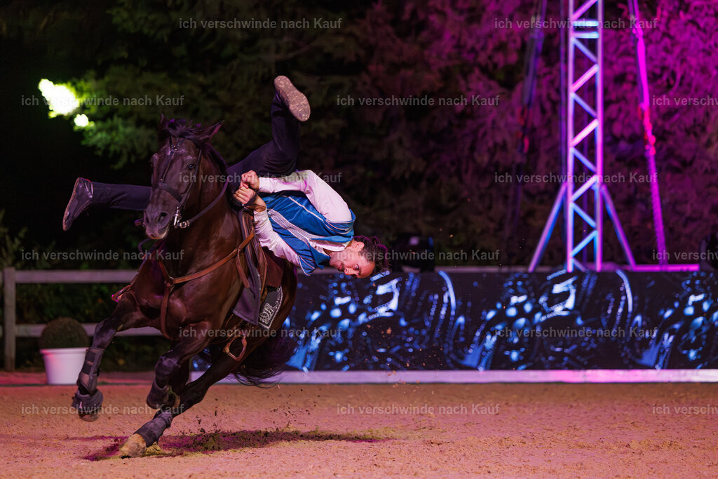 Gala-622 | working equitationturnier fotograf videograf stoibphotography marixx film working equitation deutschland reitsport turnierfotografie eventfotografie equestrian events