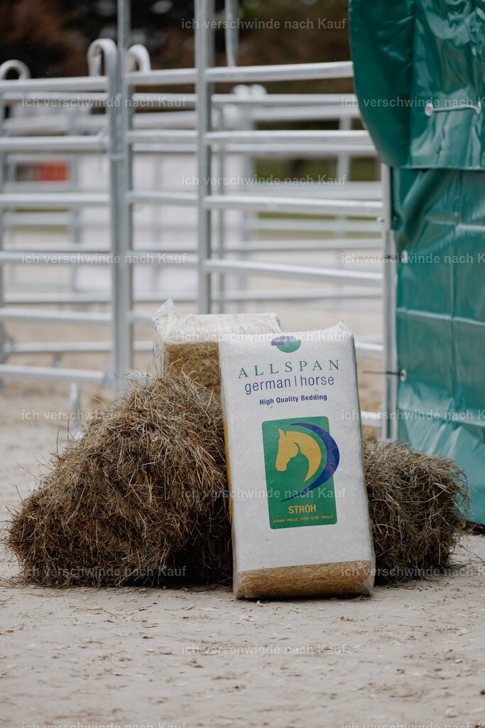 WE__Stoib_Rinder_PI2025_3179 | Pferd International München 2025