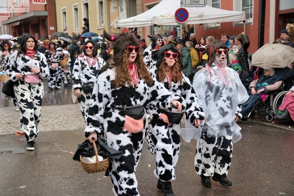 Fasnacht _24-251-RA | Fotoblog Schwarzwald, Foto Blog Wiesental, Pfaffenberg, Winterzauber, Zeller Bergland, Zell im Wiesental, Fotoblog Wiesental, Landschaftsfotos, Bilder Wiesental, Natur, Naturbilder, Fastnacht, Zeller Fastnacht, Zeller Fasnacht, Zeller Bergland, Belchen, - Realisiert mit Pictrs.com