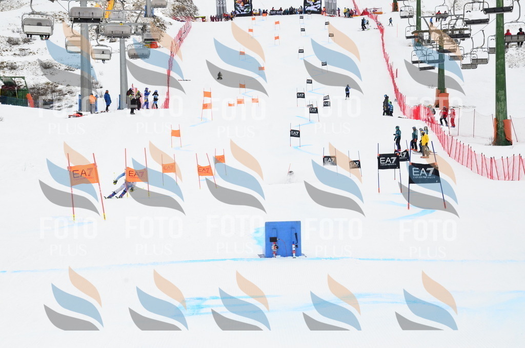 _ELE3876 | holidayphoto