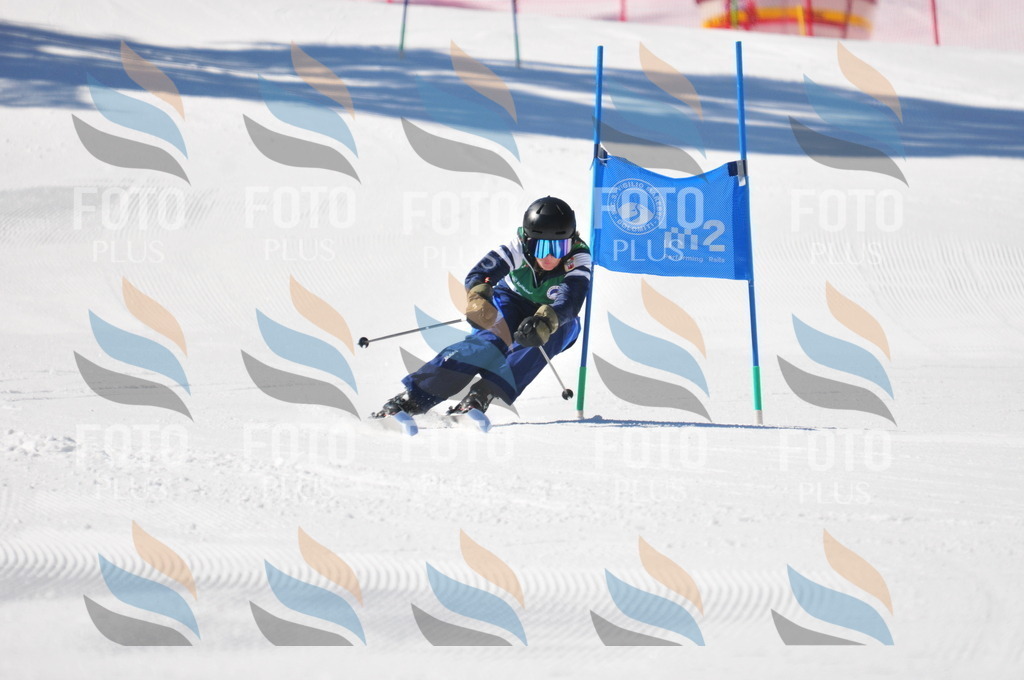 C4145 | holidayphoto