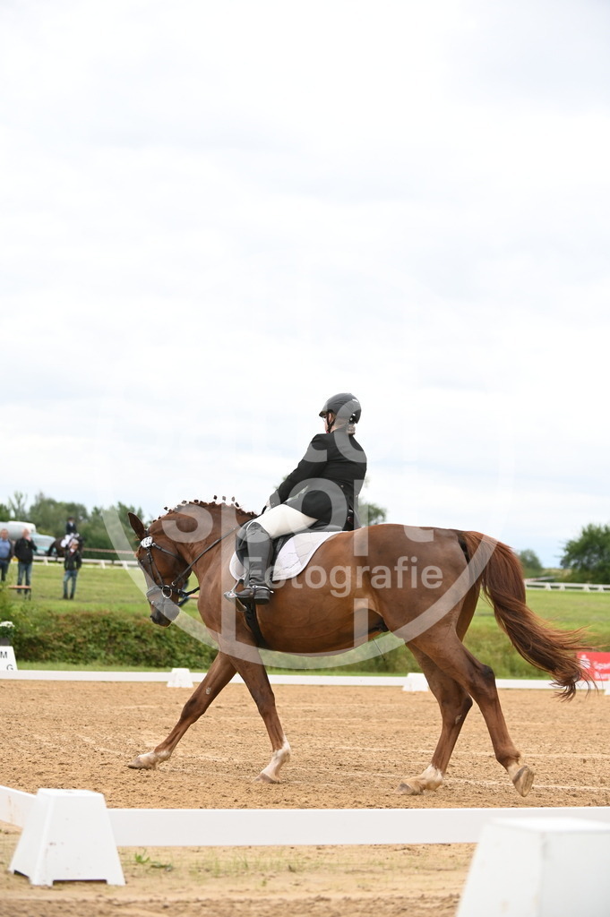 DSC_4490 | sattelsport - Realisiert mit Pictrs.com