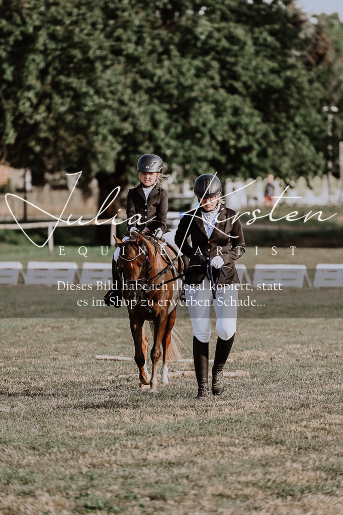 DSC_0117 | Pferde- und Turnierfotografie in Westsachsen. Pferdeportraits, Auftragszeichnungen und intuitive Kunst.