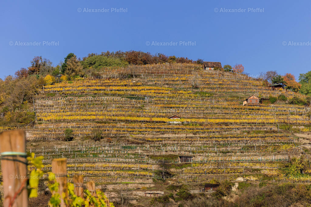 foto_c_pfeffel-partner-0116-R52_0536-Bearbeitet | alexander-pfeffel - Realisiert mit Pictrs.com