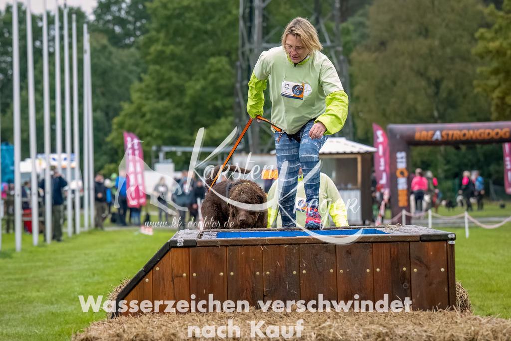 1026--19 | kk-dogfotos