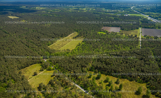 SchlossHolteStukenbrock240505150Moosheide_Heidelandschaft | Luftbild, NSG Naturschutzgebiet Moosheide in der Senne, Heidelandschaft Waldgebiet am Emser Kirchweg, Wandergebiet, Hövelhof, Ostwestfalen, Nordrhein-Westfalen, Deutschland
