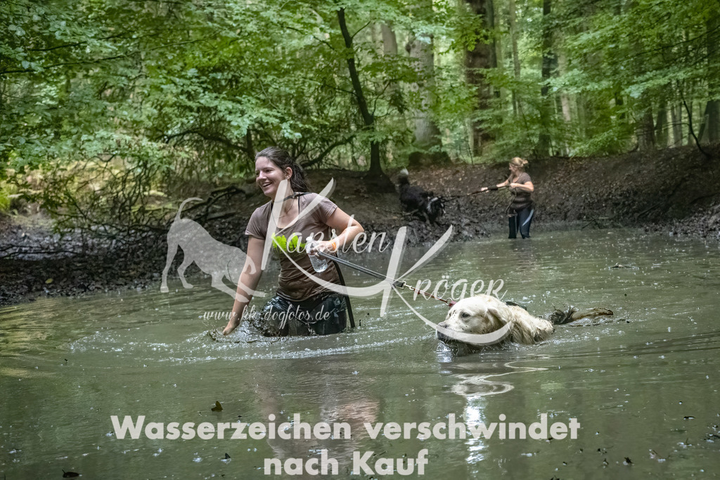1156_ZZ90213-Bearbeitet-2 | kk-dogfotos