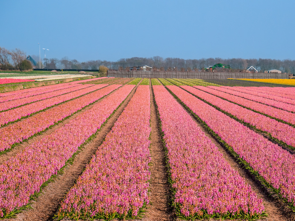P1011372-Bearbeitet-2017-LR | Natur im Moment - Realisiert mit Pictrs.com