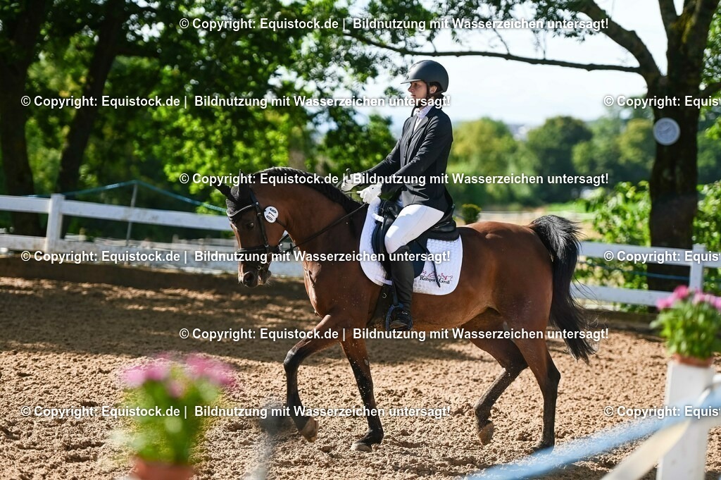 20230716_04_Dressurreiterprüfung Kl.A_0122 | equistock
