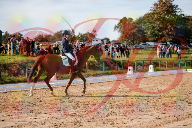 2026_10_03_Siefer-Hof_123706_Z63_54907690 | Professionelle Reitsport-, Turnier- und Eventfotografie von Robert Broda. Galerien mit ausgewählten und bearbeiteten Bildern direkt online ansehen und bestellen.