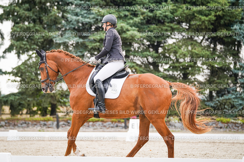 DSC00257 | Pferdegrafie