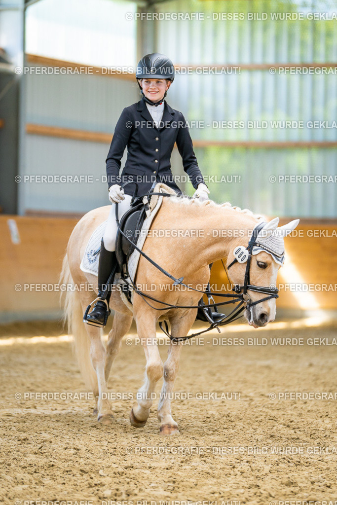 DSC08668 | Pferdegrafie