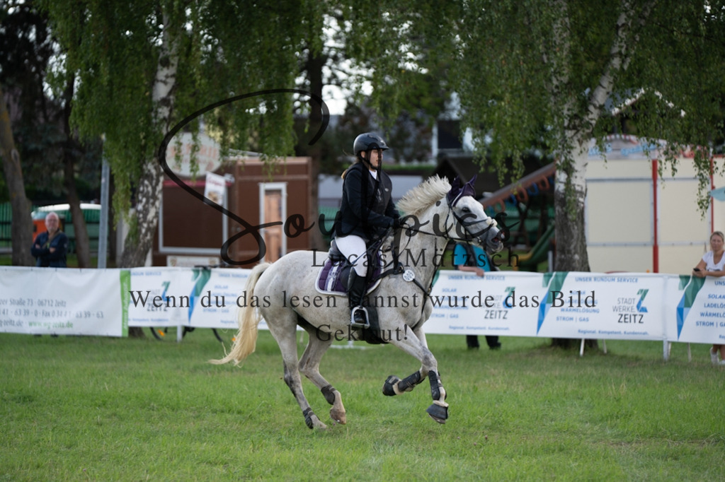 A7V03607 | Pferdefotograf