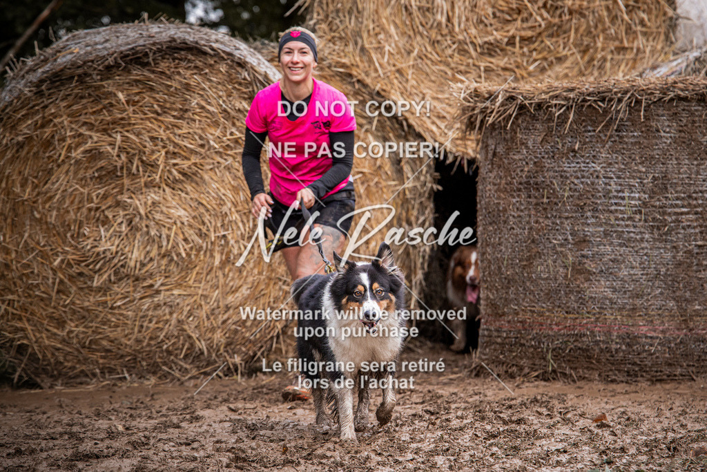 nelerasche_Hunsrück_So09-11_27 | nelerasche