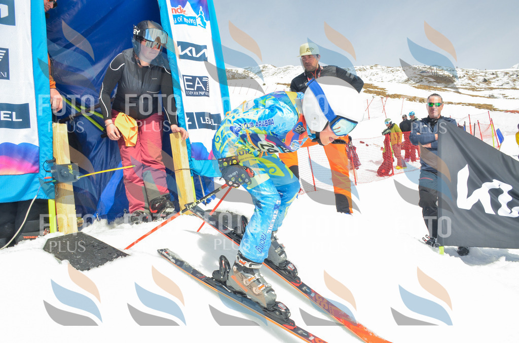 _ELE7521 | holidayphoto