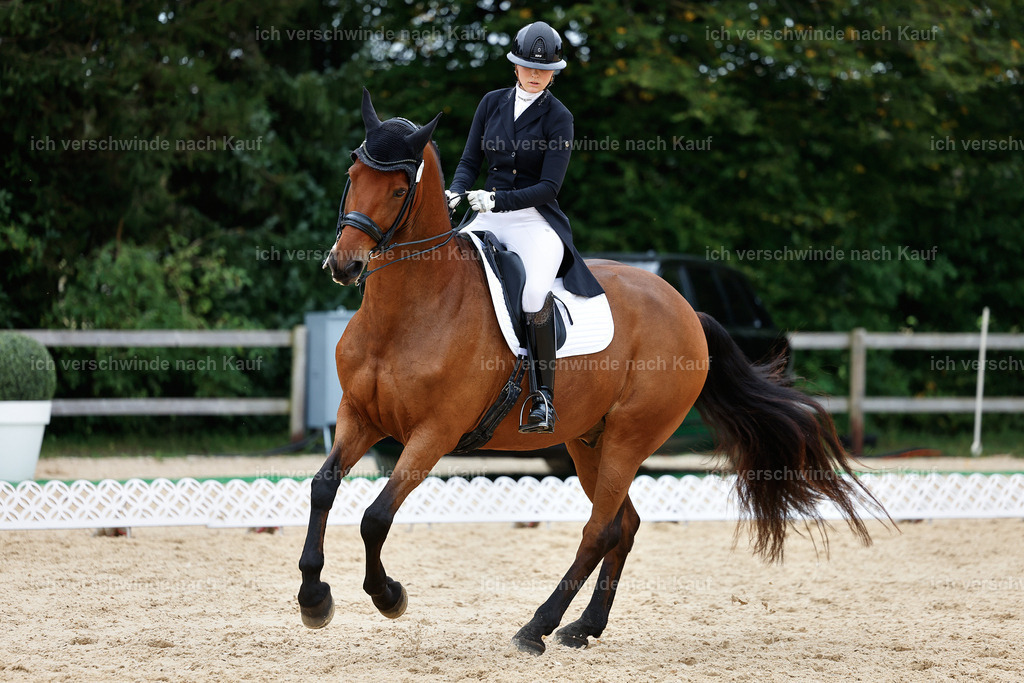 11-189-Dressur S___-StoibPH-928 | working equitationturnier fotograf videograf stoibphotography marixx film working equitation deutschland reitsport turnierfotografie eventfotografie equestrian events