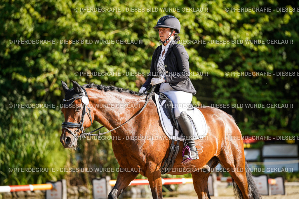 DSC09145 | Pferdegrafie