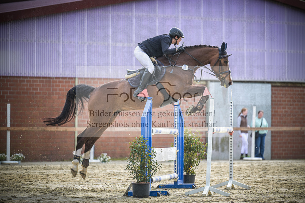 DOS_2796 | Entdecke hochwertige Reitturnierfotos von Foto Oger. Professionell, emotional und authentisch – jetzt Lieblingsmomente im Shop bestellen. - Realisiert mit Pictrs.com