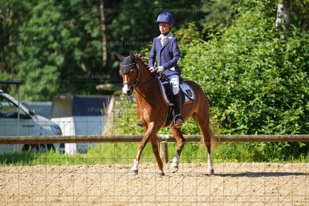 20240706-FAH04592 | Grafing Turnierfotos, Reitverein Ebersberg, Turnierfotografen Bayern, reitsportbilder, Pferdefotograf, reitsportfotograf, Sportbilder, Reitsportfotografie, Fotoagentur Herrmann, Turnierfotograf