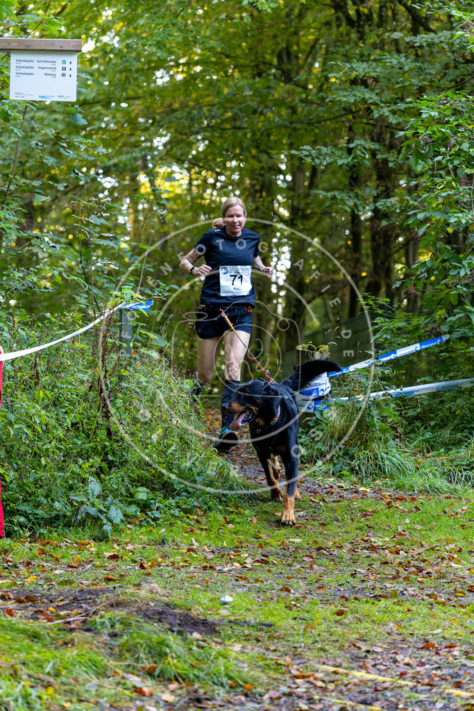 Pfotenfotografie_DV3A7375 | Hundefotografie, Tierfotograf, Pfotenfotografie, Fotoshooting Hund, Hunde Portrait, Hundesport, Hundeportraits, Heideshooting, Hunde, Sportfotograf, Hundefotograf, Turnierhundsport, THS,  - Realisiert mit Pictrs.com