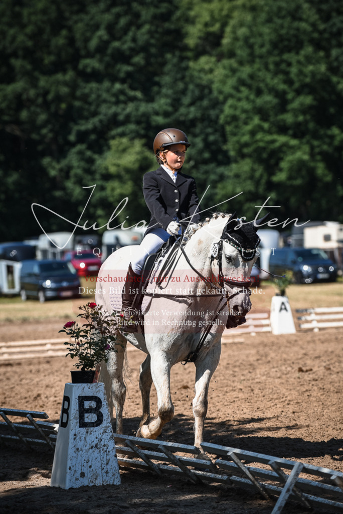 DSC_3586 | Pferde- und Turnierfotografie in Westsachsen. Pferdeportraits, Auftragszeichnungen und intuitive Kunst.