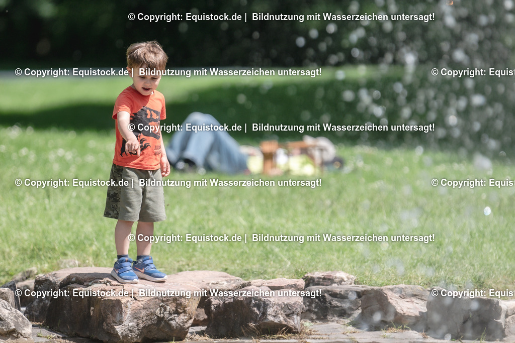 DSC_0196 | equistock