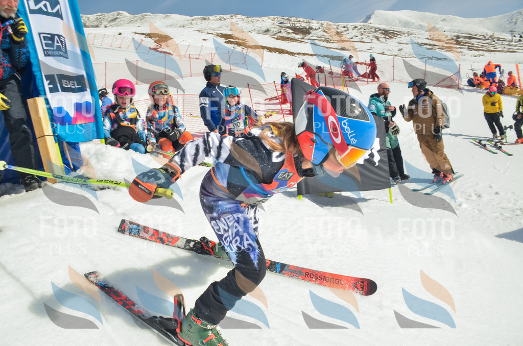 _ELE5224 | holidayphoto