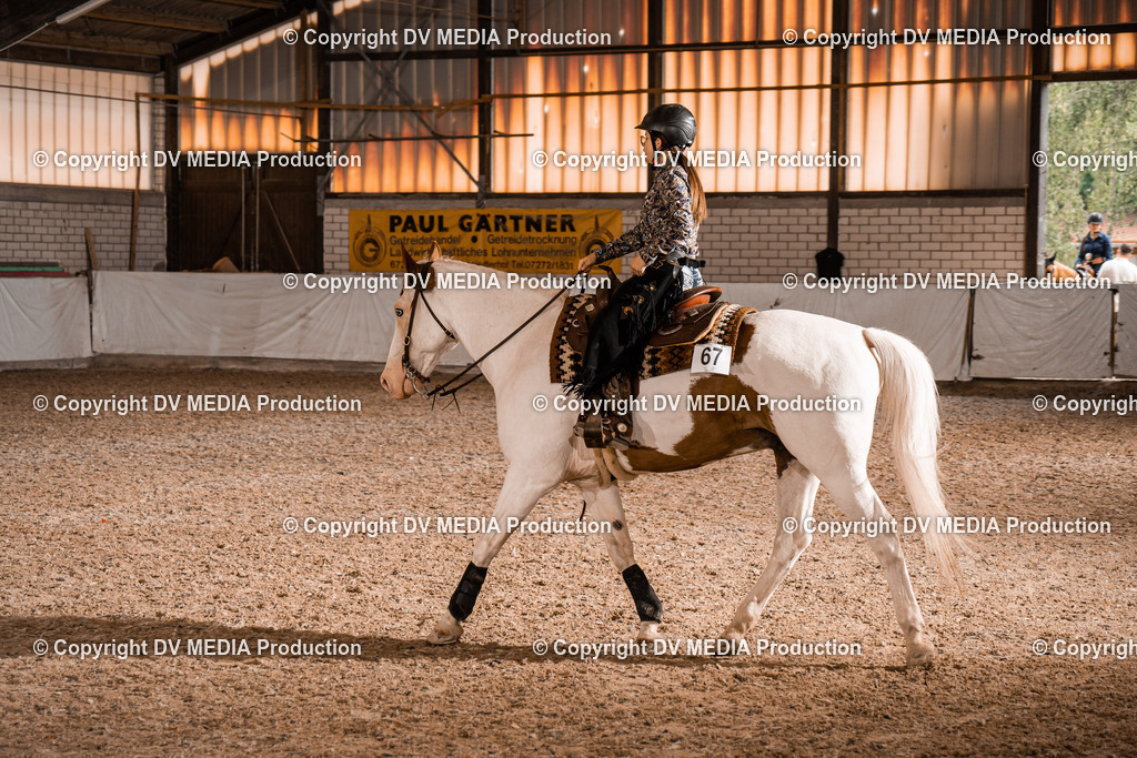 ZH200502 | dv-media-shop - Realisiert mit Pictrs.com