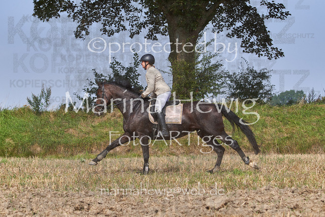 09-23 Jagd Perdöl_MCH0047_Marina Hewig | Fotografie, FotoArt, PferdesportArt, Pferdesportfotografie, Landschaftsfotografie, Reisefotografie, Reise, Pferde - Realisiert mit Pictrs.com