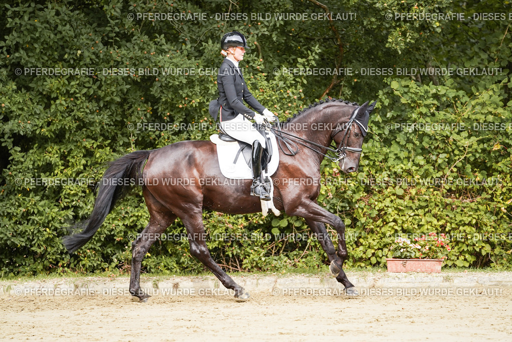 DSC02314 | Pferdegrafie