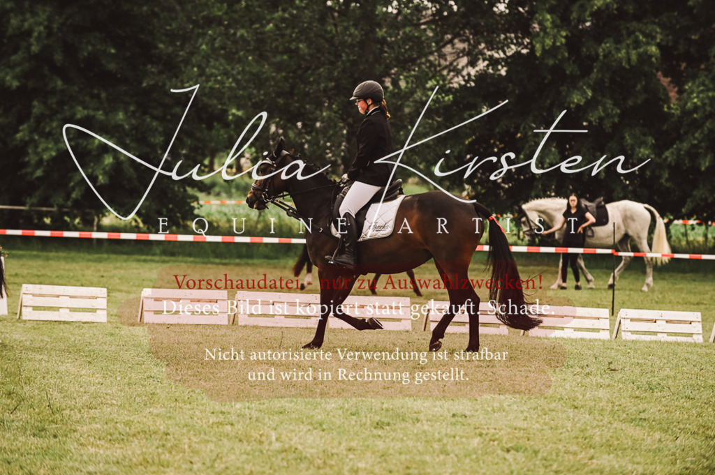 DSC_4918 | Pferde- und Turnierfotografie in Westsachsen. Pferdeportraits, Auftragszeichnungen und intuitive Kunst.