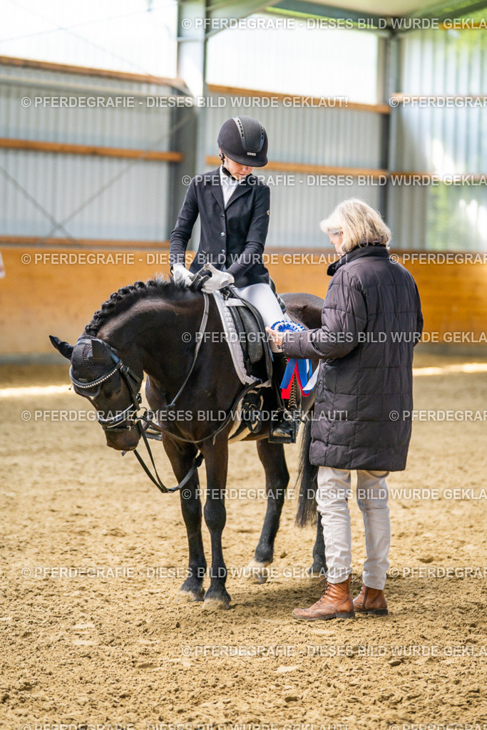 DSC02735 | Pferdegrafie