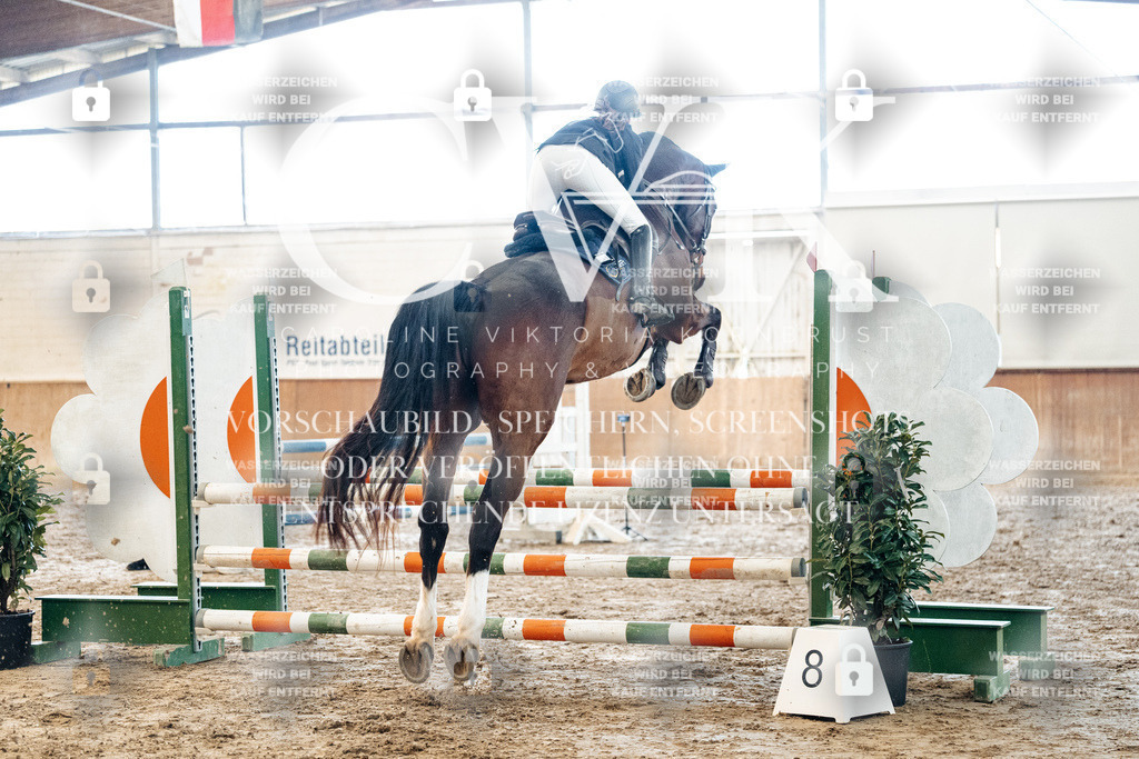 CK904451 | Turnierfotografie Pferdefotografie Trier Rheinland-Pfalz Pferdesport Reitsport Tierfotografie Sportfotografie Pferdevideo Pferdevideografie Equestrianvideography equestrianphotography  - Realisiert mit Pictrs.com