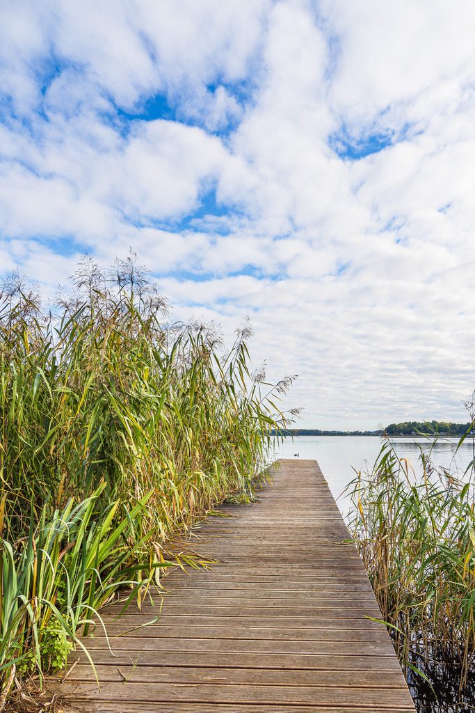 Steg und Schilf am Krakower See in der Stadt Krakau am See | Steg und Schilf am Krakower See in der Stadt Krakau am See.