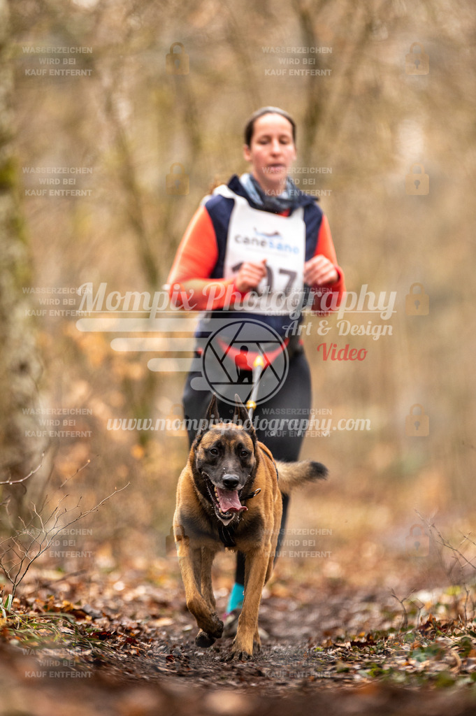 Reiat2023_SON_CaniXRun_5km_W-56 | PayLife
