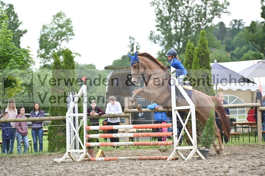 DSC_0546 | equestrian-live-com