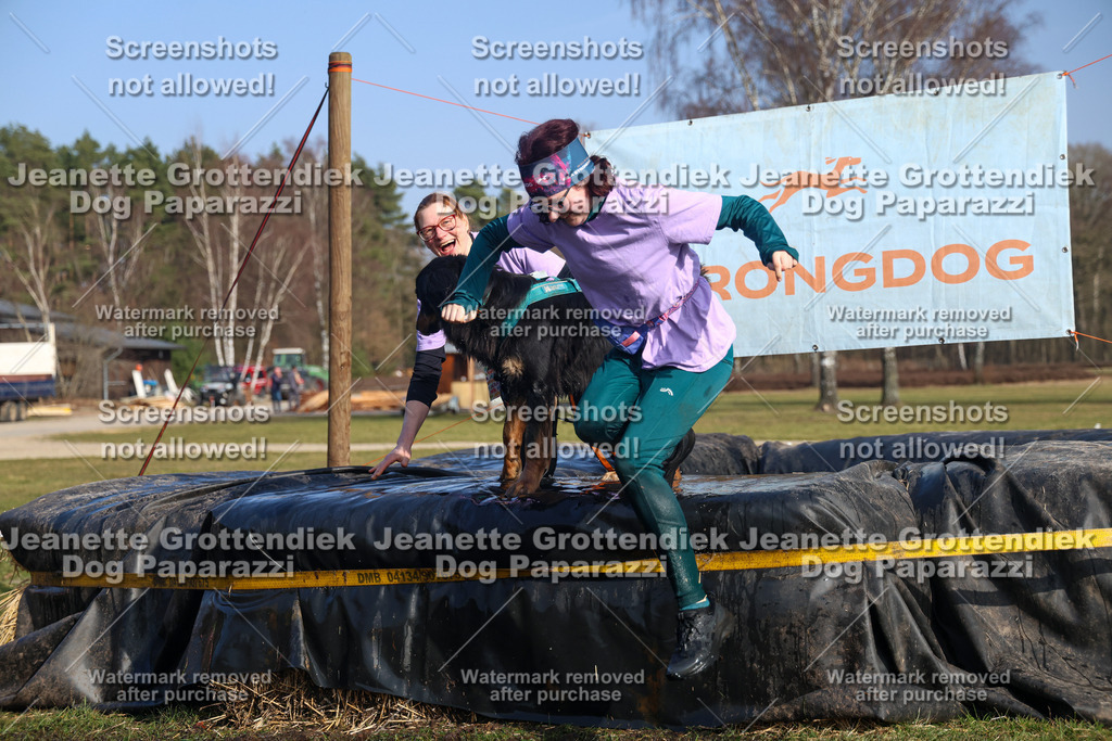 Dog Paparazzi - Strongdog North Mrz26-3224 | Dog Paparazzi Jeanette Grottendiek Fotografie & Videografie - Realisiert mit Pictrs.com