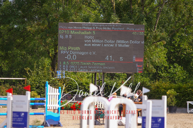 Gut Blee25_Amateuer Stilsprpfg Kl A_0270 | Turniersportfotografie; Pferdefotografie; Dressurfotografie