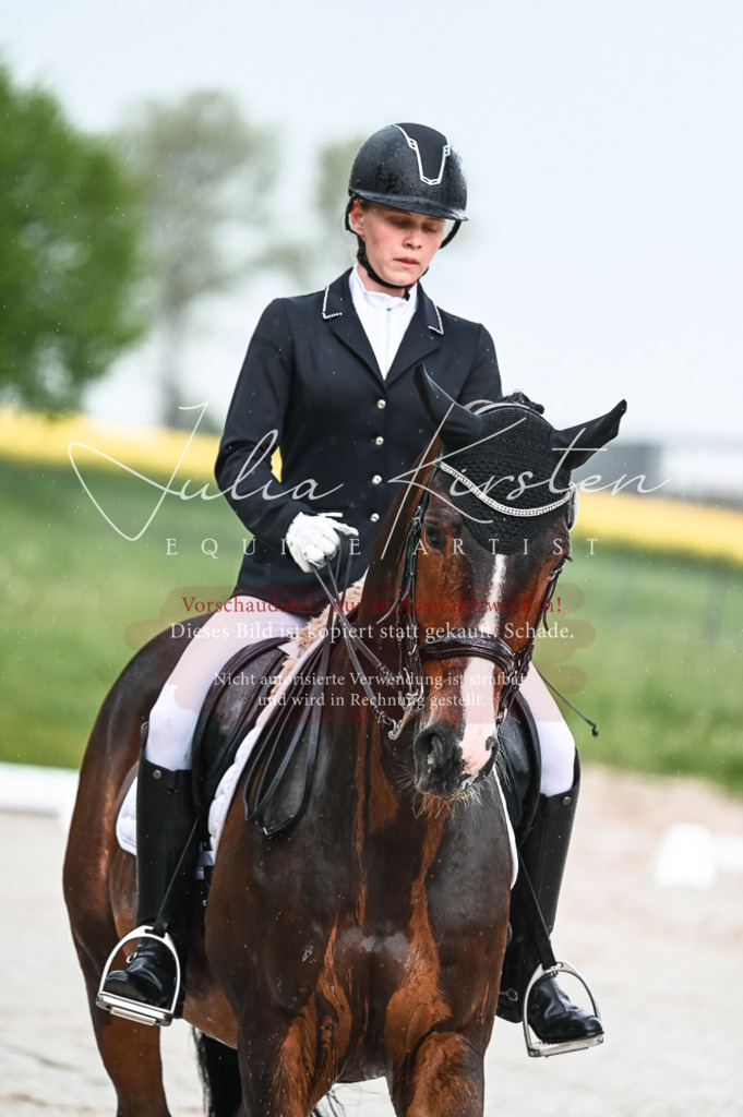 DSC_4161 | Pferde- und Turnierfotografie in Westsachsen. Pferdeportraits, Auftragszeichnungen und intuitive Kunst.