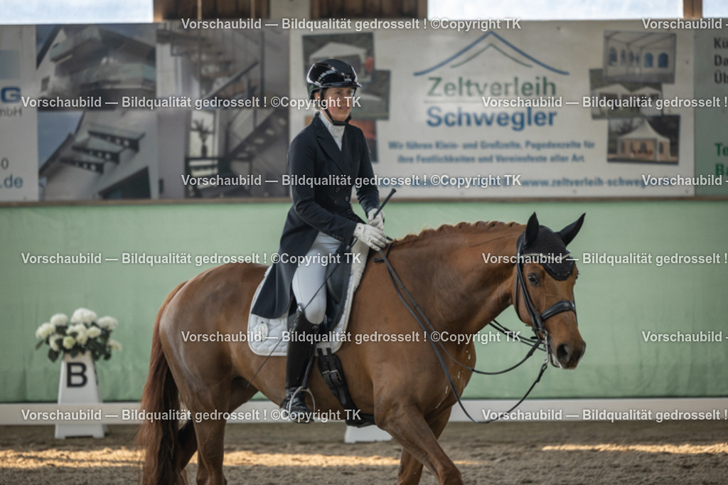 _D5A8105 | Emotionale Pferde- & People-Fotografie rund um Heidelberg, Leimen & Umgebung. Natürliche Fotos von Pferd, Mensch & Familie. Jetzt Termin sichern!