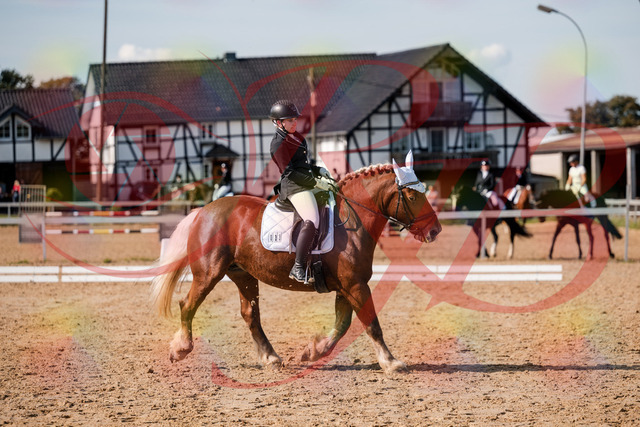 2026_10_03_Siefer-Hof_130441_Z63_67698969 | Professionelle Reitsport-, Turnier- und Eventfotografie von Robert Broda. Galerien mit ausgewählten und bearbeiteten Bildern direkt online ansehen und bestellen.