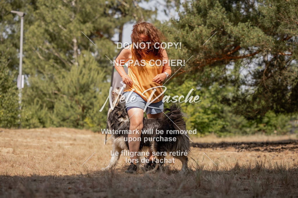 nelerasche_soDD2_468 | nelerasche
