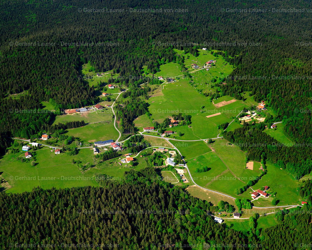 2725078 | Pleckenstein