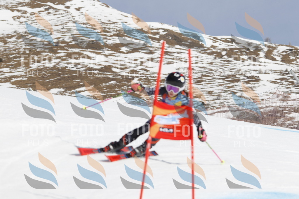 _U3G1264 | holidayphoto