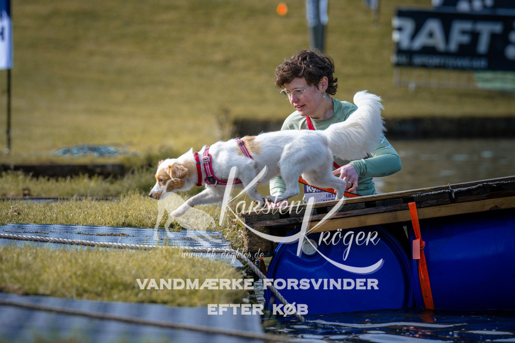 _ZZ946560718 | kk-dogfotos