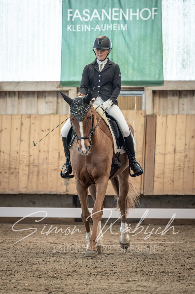 20251011-_3LI5897 | Tierfotografie Pferde, Hunde, Katzen, Haustiere.
Turnierfotografie Reitturniere, Reiten, Springreiten, Dressur in Hanau, dem Main-Kinzig-Kreis und dem Rhein-Main- Gebiet um Frankfurt