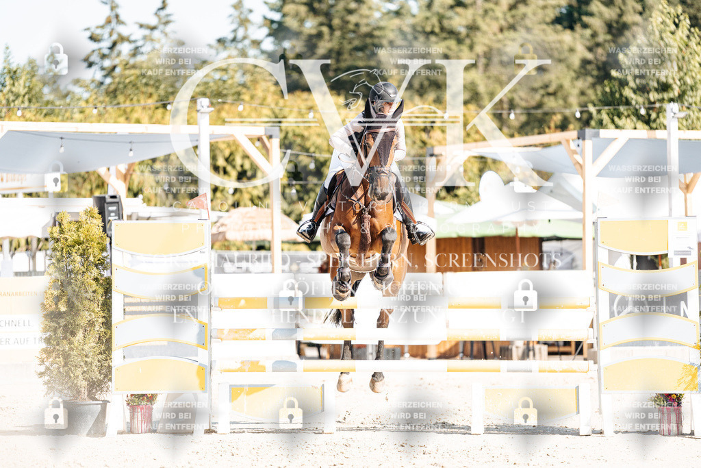CK902232 | Turnierfotografie Pferdefotografie Trier Rheinland-Pfalz Pferdesport Reitsport Tierfotografie Sportfotografie Pferdevideo Pferdevideografie Equestrianvideography equestrianphotography  - Realisiert mit Pictrs.com