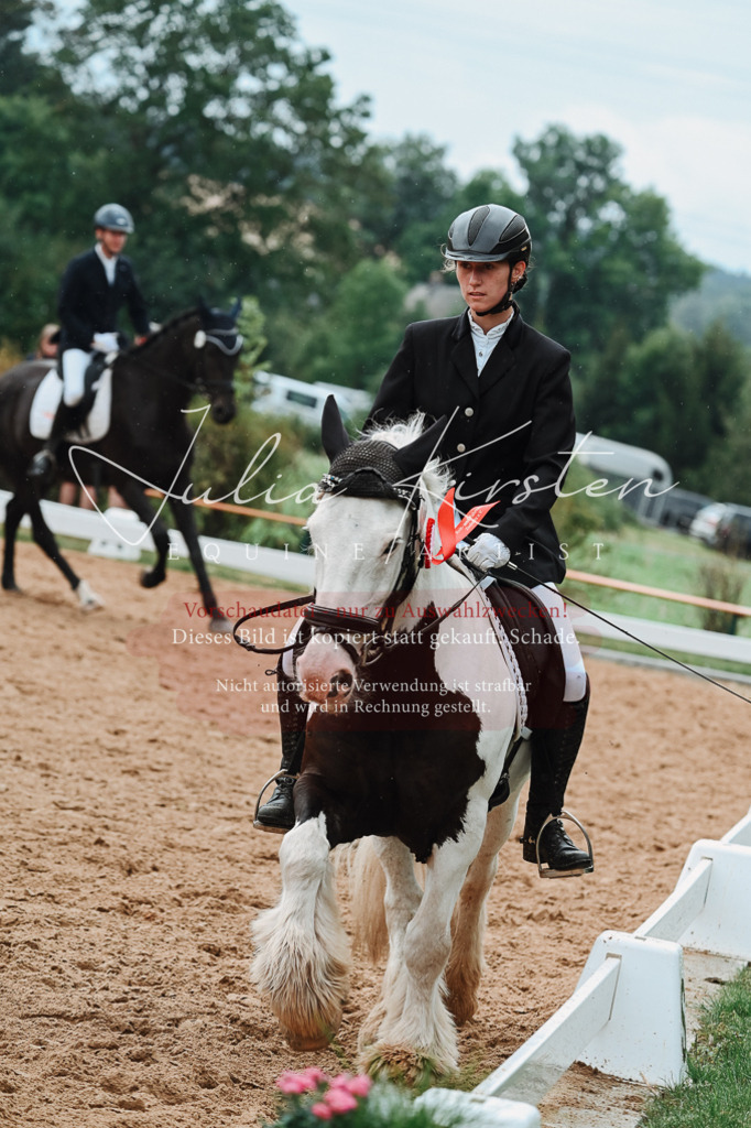 DSC_7296 | Pferde- und Turnierfotografie in Westsachsen. Pferdeportraits, Auftragszeichnungen und intuitive Kunst.