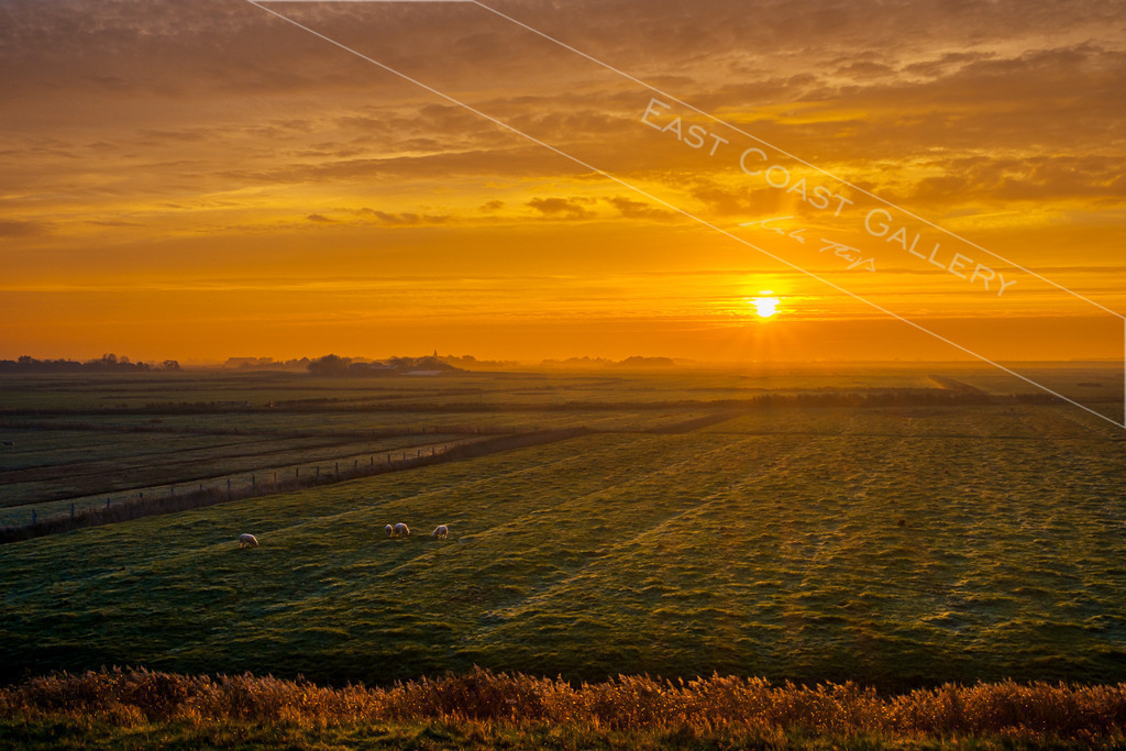 Morgens kommt die Sonne | EastCoastGallery - Realisiert mit Pictrs.com